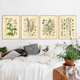 Room with comfortable bed, potted plants, and vintage botanical wall art, including the forget-me-not print.